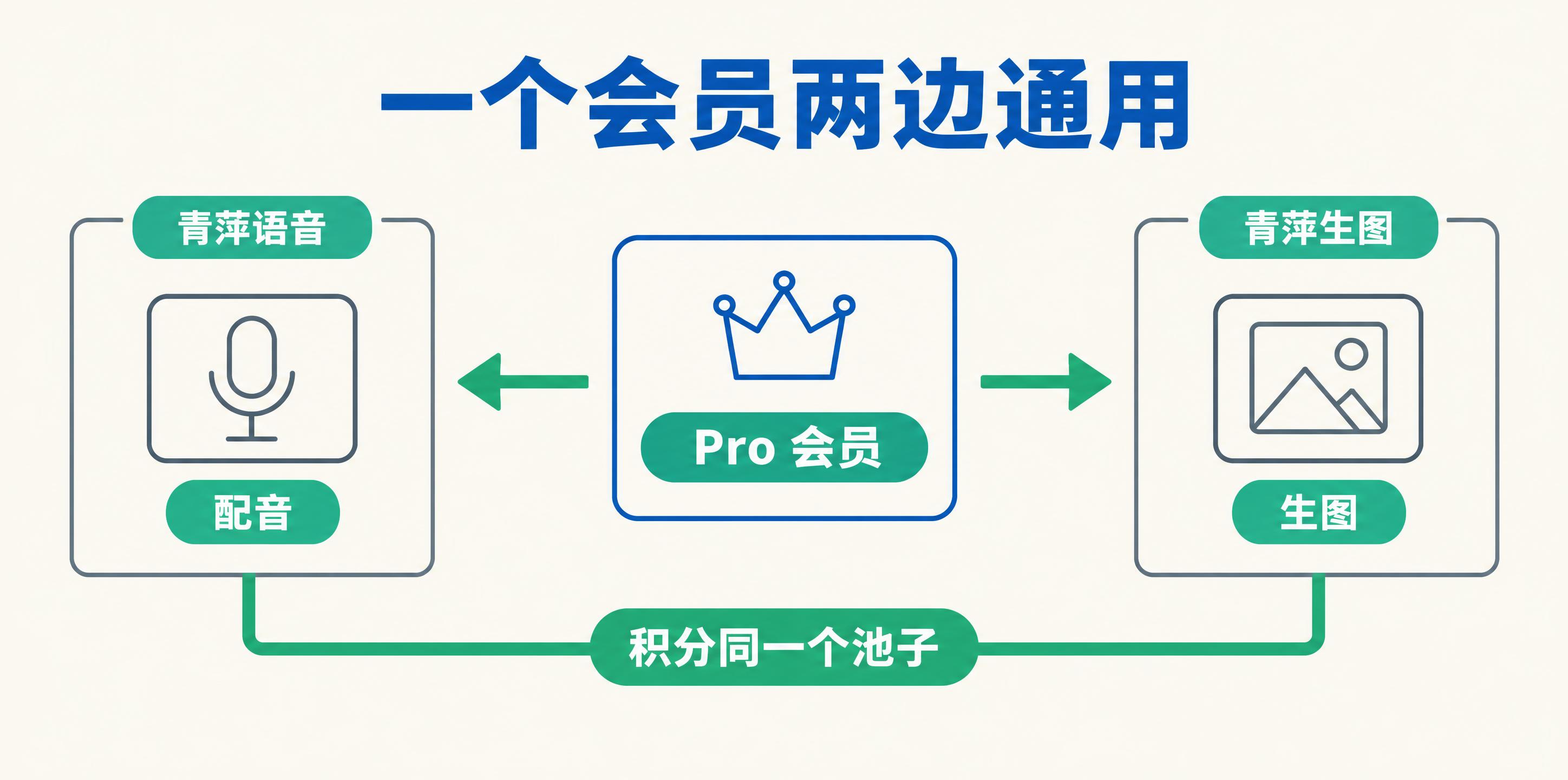一个 Pro 会员,青萍语音和青萍生图通用,积分同一个池子