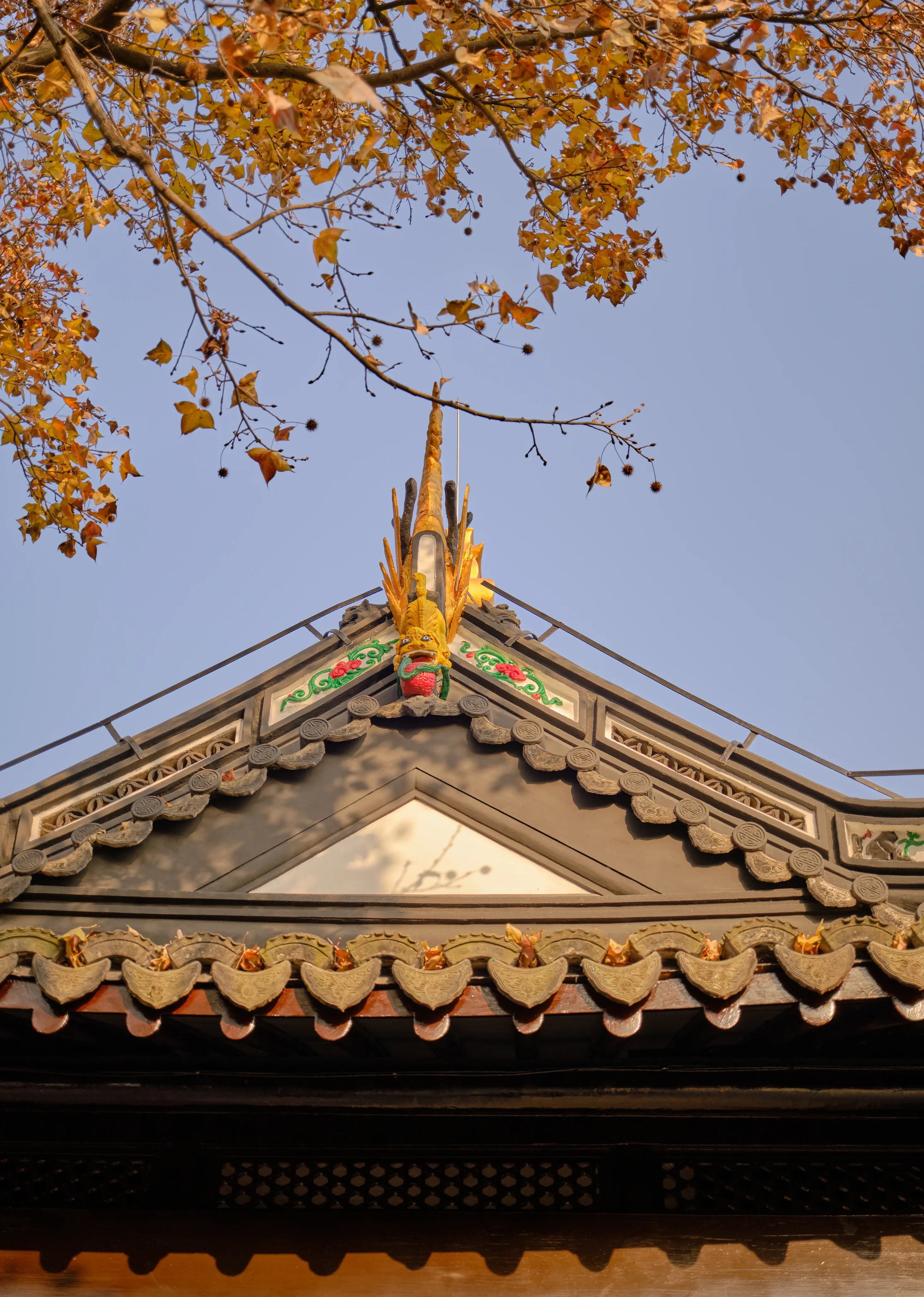 桂林公园04.webp