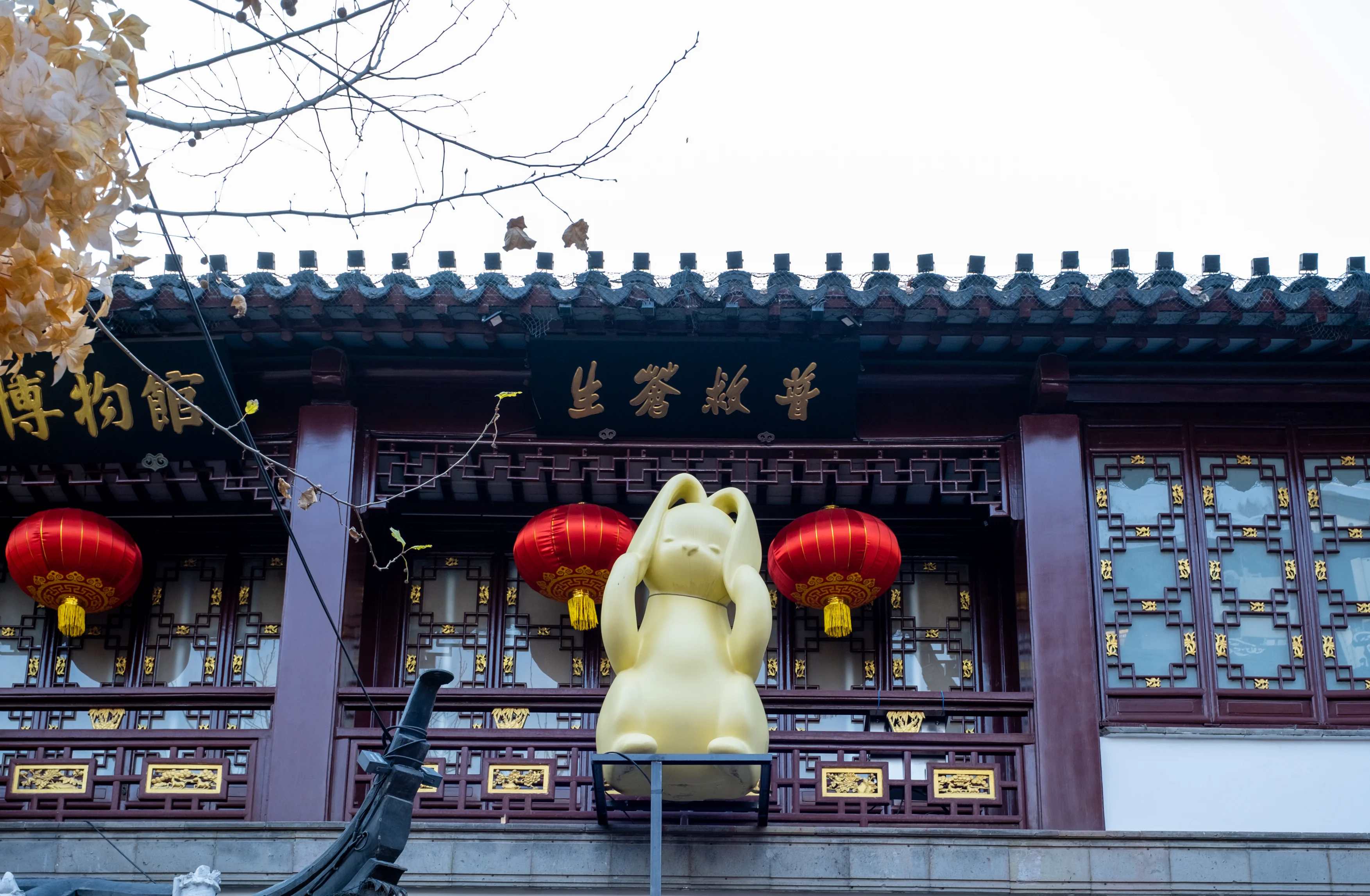 2023yuyuan-04.webp