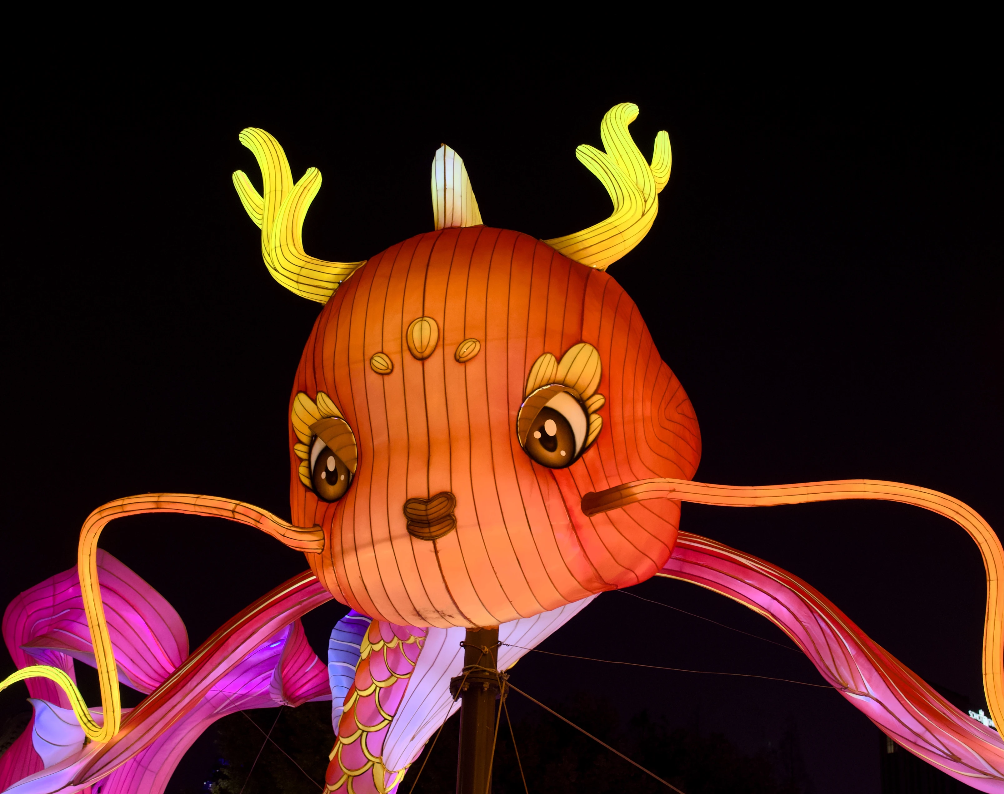 2024豫园春节-14_ilogs_cn_.webp